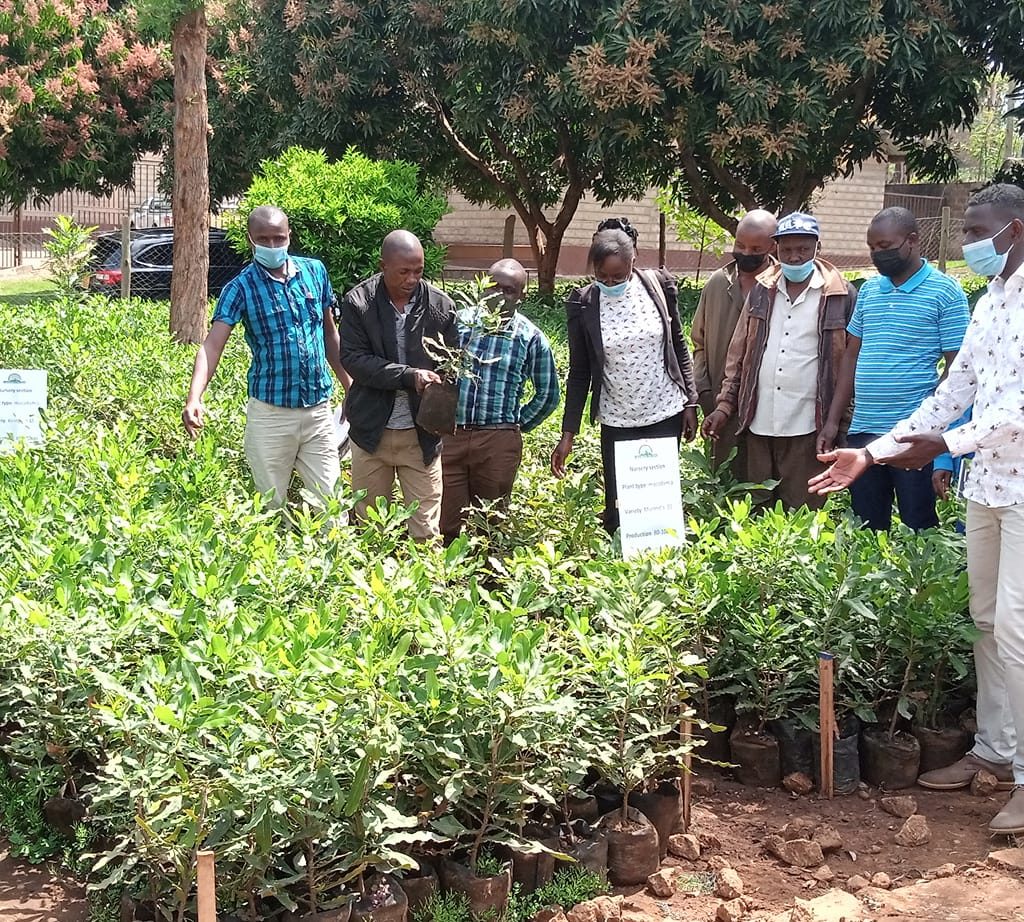 241294311_233229922065512_7797815412584363762_n